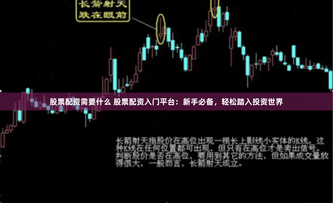 股票配资需要什么 股票配资入门平台：新手必备，轻松踏入投资世界