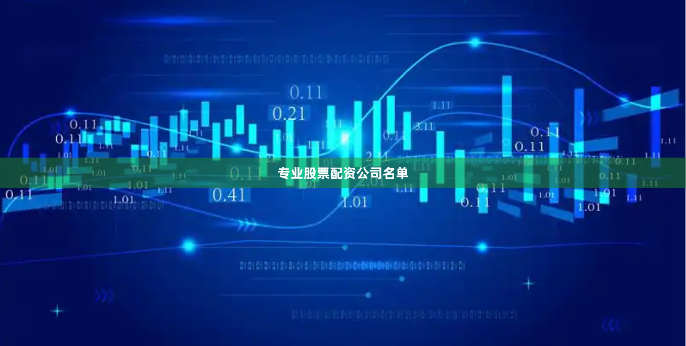 专业股票配资公司名单